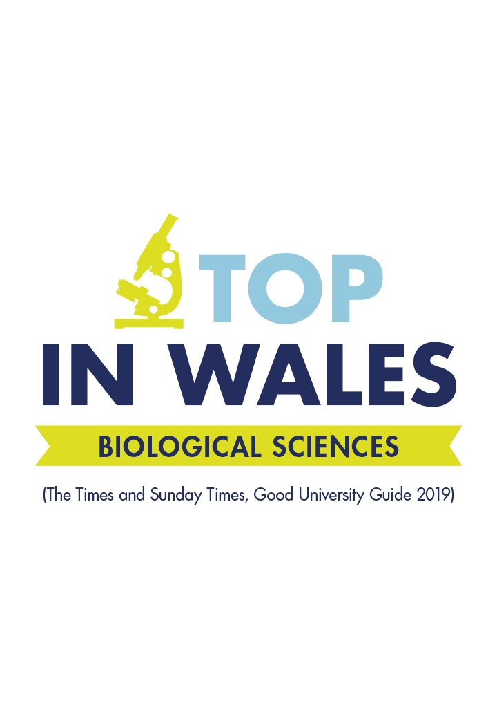 23rd in the UK for Research Quality (REF2014)