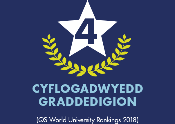 4 cyflogadwyedd graddedigion