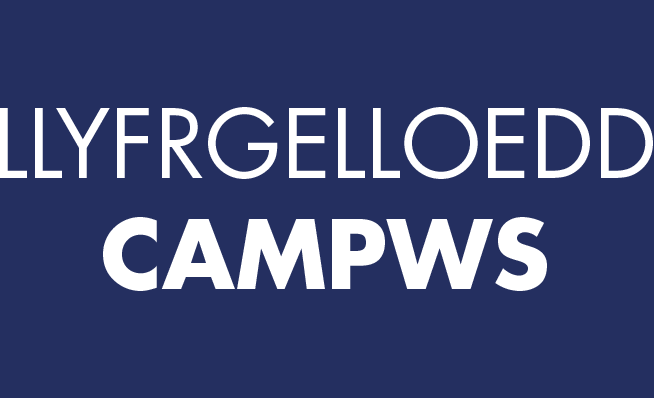 Llyfrgelloedd campws