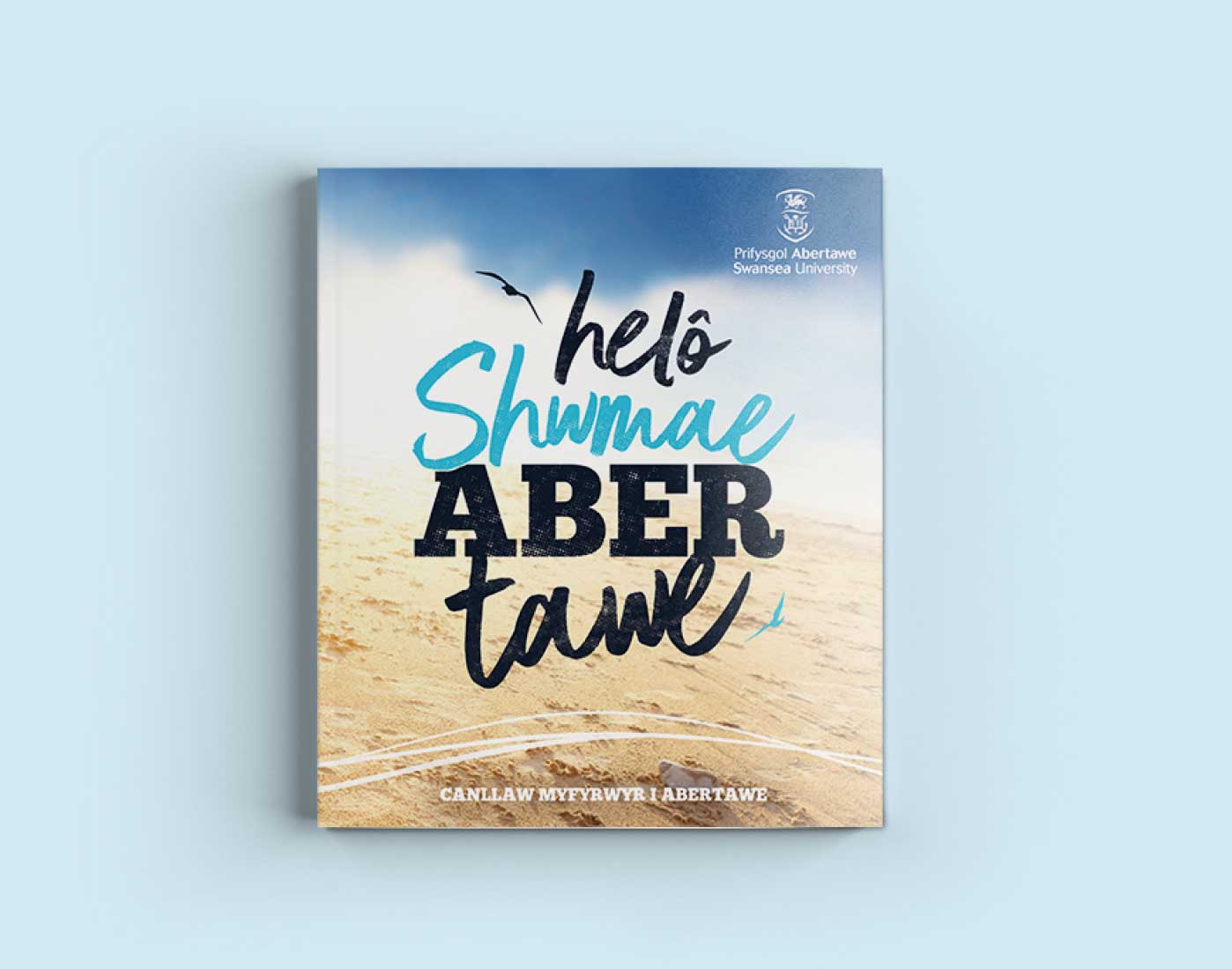 Student Guide to Swansea